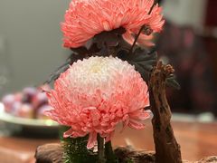 -果然居酒家 · 顺德园林私房菜