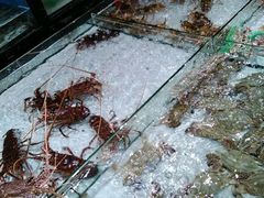 android_upload_pic-渔傅·蓝海岸霞浦海鲜(正祥店)