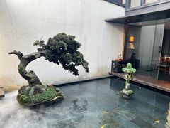 -觀芷隐轩