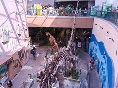 -陕西自然博物馆