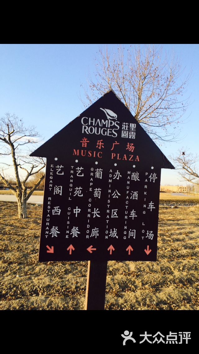 圣露国际酒庄图片 - 第119张