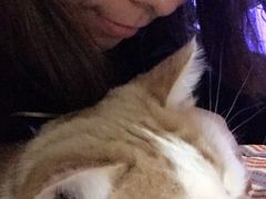 -Sirena海妖日咖夜酒