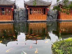 -九尺赵老四鲜鹅肠火锅