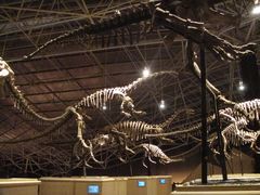 -世界恐龙谷景区