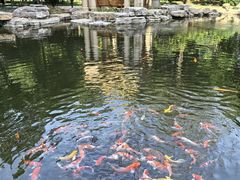 -青岛鑫江温德姆酒店