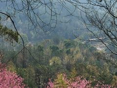 -天台山赤城山景区