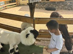 -HERRE·FARM 赫尔露营农场·团建聚会包场