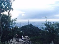 -紫金山山顶公园