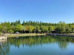 -尚湖风景区