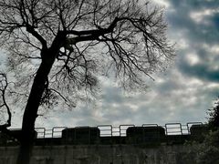 -威远炮台