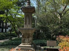 -汇龙潭