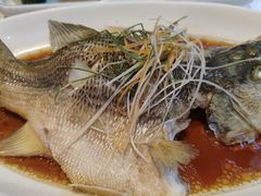 -阿英煲(凉城路店)