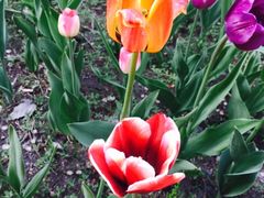 -长春公园(普阳街道)