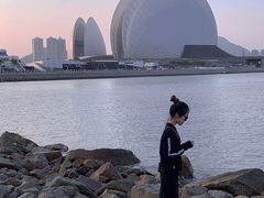 -野狸岛