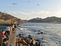 -西霞口神雕山野生动物世界