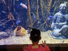 -华夏文旅海洋公园