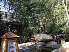 -观唐（国际）度假村温泉
