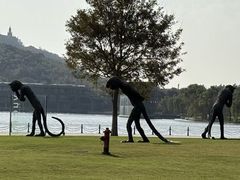 -上海月湖雕塑公园