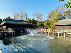 -溱湖国家湿地公园