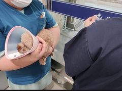 -申普宠物医院·眼科·心内科·影像科(普陀分院)
