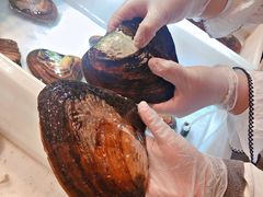 -十八字金·银饰·拼豆·开蚌DIY(魏公芳华里店)