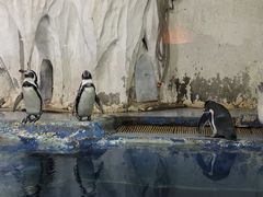 -太平洋海底世界