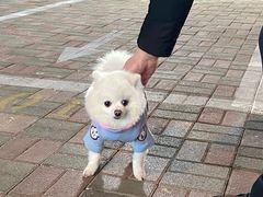 -韩国한국厨房