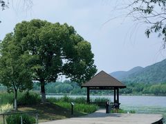 -长广溪湿地公园