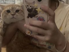 -安安宠医·臻爱宠物医院·宠保定点(营门口路分院)