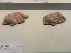 -安阳博物馆