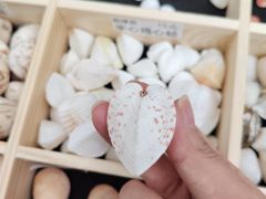 -万达广场(武汉菱角湖店)