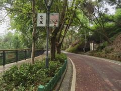 -金鸡山公园