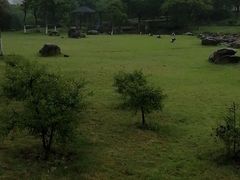 -白塘生态植物园