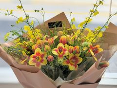 -Gigi Florist·Dk Coffee