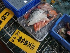 -寻味顺德·南记酒家·传统顺德菜·鱼生(广源路店)