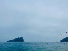 -棒棰岛宾馆景区