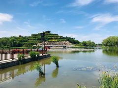 -河北省园博园