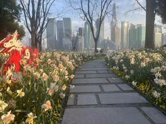 -北外滩滨江绿地