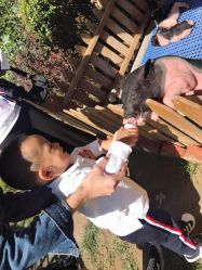 -萌宠亲子动物乐园(槐房万达店)