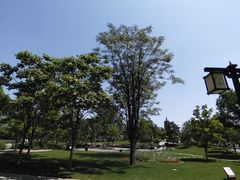 -西海子公园