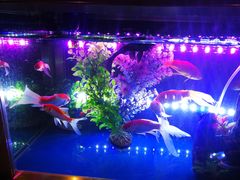 -海底捞火锅(金光华店)