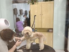 -中农大我爱我爱动物医院·核磁CT·猫病·24小时夜诊中心(石佛营店)