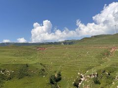 -空中草原