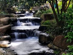 -中国茶叶博物馆(双峰馆区)