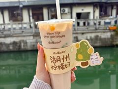 -猫的魔法密林(衣裳街店)