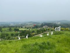 -密云玫瑰情园