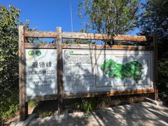 -磬锤峰森林公园