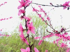 -重庆彩云湖湿地公园