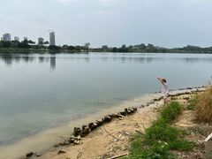 -鹤之洲湿地公园