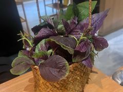 -一朵菌·野生菌探索家火锅(南亚店)
